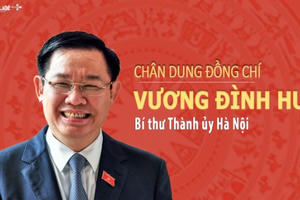 Infographics -  Chân dung tân Bí thư Thành ủy Hà Nội Vương Đình Huệ
