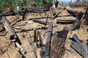 Địa ốc 24h: Great Dragon Hotel xây dựng gây nứt nhà dân, sang tên sổ đỏ không phải nộp thuế VAT