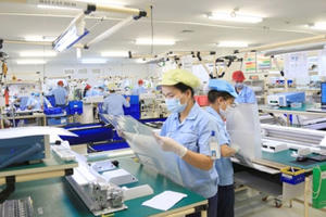 Đầu năm 2024, cả nước có 13,5 nghìn doanh nghiệp thành lập mới