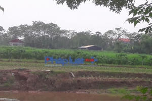 Vụ “quan xã” lộng quyền ở Vĩnh Phúc: Khi cánh đồng xanh bị “phù phép” thành nhà ở