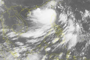 Cập nhật mới nhất về bão Hato - cơn bão số 6