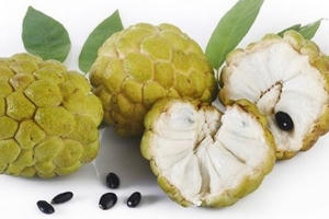 Những loại quả dễ gây ngộ độc khi ăn sai cách