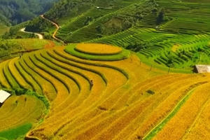 Bản thu âm, hoà âm mới nhất ca khúc "Việt Nam quê hương tôi" Bản thu âm, hoà âm mới nhất ca khúc "Việt Nam quê hương tôi"