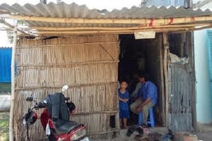 Vụ sập cầu Ghềnh: Cả hai tài công gây tai nạn sập cầu chưa bao giờ học lái tàu