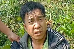 Điện Biên: Tạm giữ đối tượng trồng hơn 3.200 cây thuốc phiện trong núi