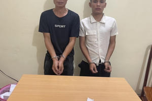 Hà Giang: Liên tiếp triệt phá, bắt giữ nhiều đối tượng phạm tội về ma túy