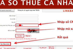02 cách tra cứu mã số thuế cá nhân