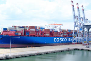 Ưu đãi phí hàng hải để thu hút tàu về Cái Mép-Thị Vải