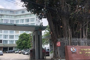 Phê duyệt Đề án cơ cấu lại Tập đoàn Công nghiệp Than - Khoáng sản Việt Nam