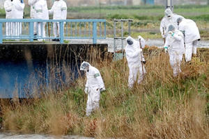 Nhật xác định nguyên nhân tử vong của bé gái Việt