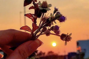 Nguyên tắc 100 - 1 = 0 và giá trị của lòng tốt