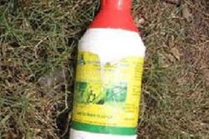 Thông tin tiếp vụ mẹ sát hại con trai 2 tuổi rồi tự vẫn: Người mẹ đã tử vong