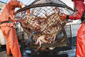 Cua hoàng đế Mỹ sẽ 'tấn công' thị trường Việt