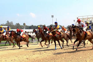 Trường đua ngựa gần 10.000 tỷ đồng ở Hà Nội lại lỡ hẹn