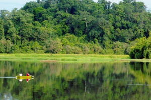 Ra sức canh lửa giữ rừng Nam Cát Tiên Ra sức canh lửa giữ rừng Nam Cát Tiên