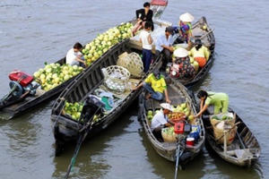 Ghe hàng ở miền Tây: Order theo yêu cầu, freeship tận nhà và trả góp lãi suất 0%