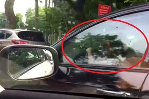 CSGT đang vào cuộc xác minh vụ bé gái lái xe biển xanh trên phố