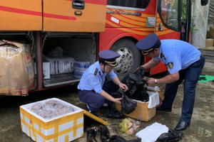 Quảng Bình: Bắt quả tang lái xe vận chuyển trái phép hàng hóa và động vật quý hiếm