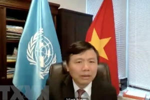 Việt Nam ủng hộ Colombia về giám sát thực thi thỏa thuận hòa bình