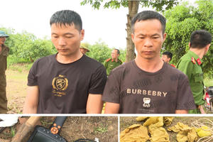 Thanh Hóa: Tạm giữ hình sự 2 nghi can người nước ngoài để điều tra về hành vi xâm phạm mồ, mả