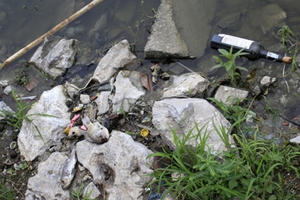 Mầm mống bệnh tật trong "lá phổi lớn nhất thủ đô"