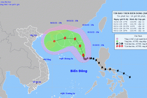 Bão số 7 có sức gió giật mạnh lên cấp 11