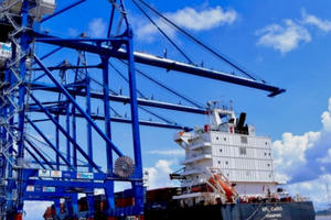 Hải Phòng: Dừng nộp phí hạ tầng cảng biển bằng tiền mặt từ ngày 1/8