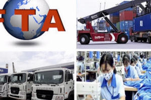 Thêm hàng loạt mặt hàng nhập khẩu giảm thuế về 0%