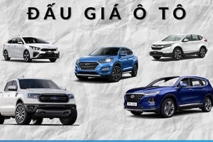 Đấu giá biển số xe: Vì sao không nên khởi điểm 100 triệu đồng?