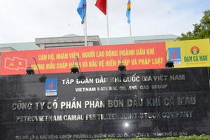 Phân bón Dầu khí Cà Mau - DCM bị phạt do kê khai thuế sai