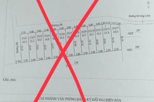 Quảng Nam: Khởi tố vụ án giả trích lục địa chính, biến đất trồng cây lâu năm thành đất ở