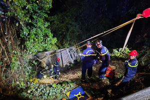 Tạm giữ hình sự tài xế trong vụ xe khách rơi xuống vực tại Lâm Đồng