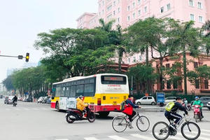 Hà Nội ngày trở lại: Làm gì để mãi xanh?