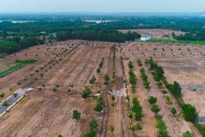 Ngang nhiên trục lợi từ các dự án “ma"