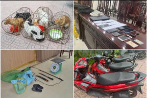 Triệt xoá ổ nhóm trộm chó chuyên nghiệp, dùng hung khí chống trả khi bị truy bắt