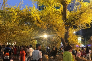 Lung linh Lễ hội Xuân tại Nhà văn hóa Thanh niên Lung linh Lễ hội Xuân tại Nhà văn hóa Thanh niên