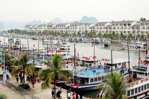 Quảng Ninh: Cương quyết xử lý các tàu du lịch vi phạm quy chế hoạt động