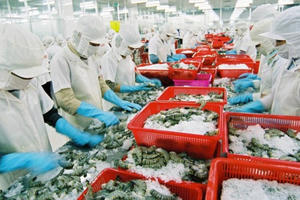 Chiến tranh thương mại Mỹ - Trung: Cơ hội của ngành tôm Việt Nam