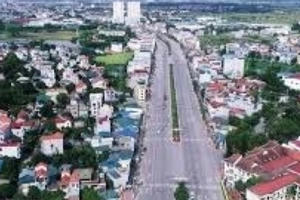 Sắp đấu giá hàng trăm lô đất tại 3 huyện ngoại thành Hà Nội