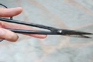 Mâu thuẫn trong lúc nhậu, một người bị đâm chết