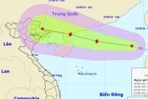 Áp thấp nhiệt đới khả năng mạnh lên thành bão, Bắc Bộ mưa rất to