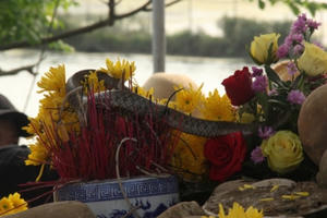 Rắn nước được xem như "thần" ở Quảng Bình bị lực lượng chức năng thu giữ