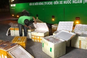 Nghệ An: Bắt giữ gần 1 tấn thực phẩm bẩn