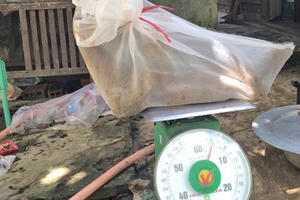 Bị phạt gần 300 triệu vì vận chuyển động vật quý hiếm