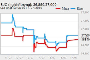 Giá vàng tuần tới sẽ tăng hay giảm, chuyên gia hay nhà đầu tư dự đoán đúng?