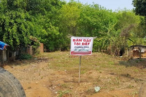 Liên tiếp sốt đất: Người ôm cục nợ, xuất hiện điểm lo ngại gì cho kinh tế?