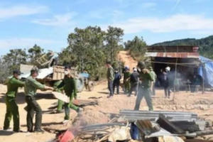 Lâm Đồng: Khai thác vàng trái phép, một cá nhân bị phạt hàng trăm triệu đồng