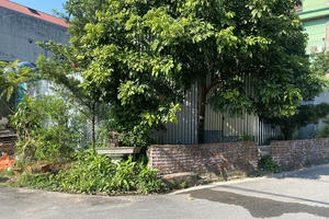 Quảng Ninh: Cần làm rõ quy trình cấp đất vườn cho một công dân