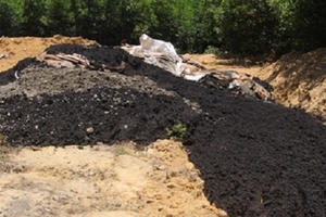 Phó Thủ tướng yêu cầu kiểm tra việc chôn rác thải của Formosa tại Hà Tĩnh Phó Thủ tướng yêu cầu kiểm tra việc chôn rác thải của Formosa tại Hà Tĩnh