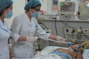 Đừng đùa với ong